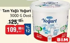 DOST TAM YAĞLI YOĞURT 3000 G